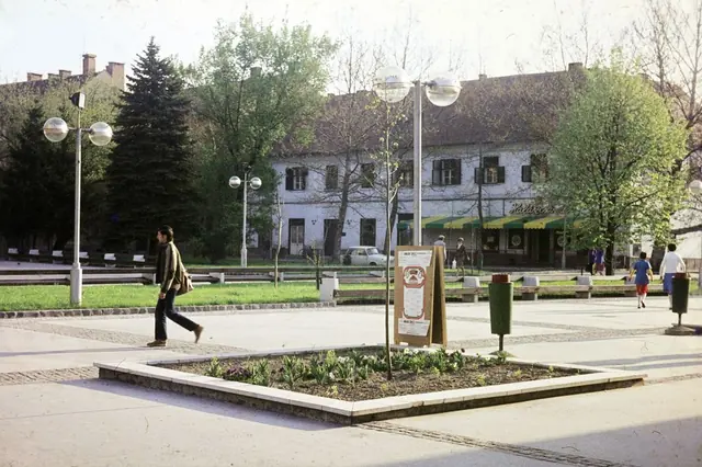Színezett